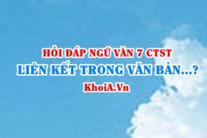 Liên kết trong văn bản là gì? Đặc điểm và chức năng liên kết trong văn bản? Ngữ Văn lớp 7 CTST